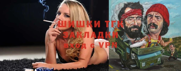 шишки Сатка