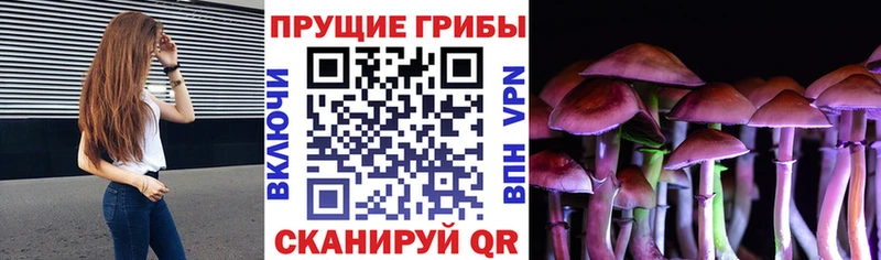 mega как войти  Верхоянск  Псилоцибиновые грибы мухоморы 